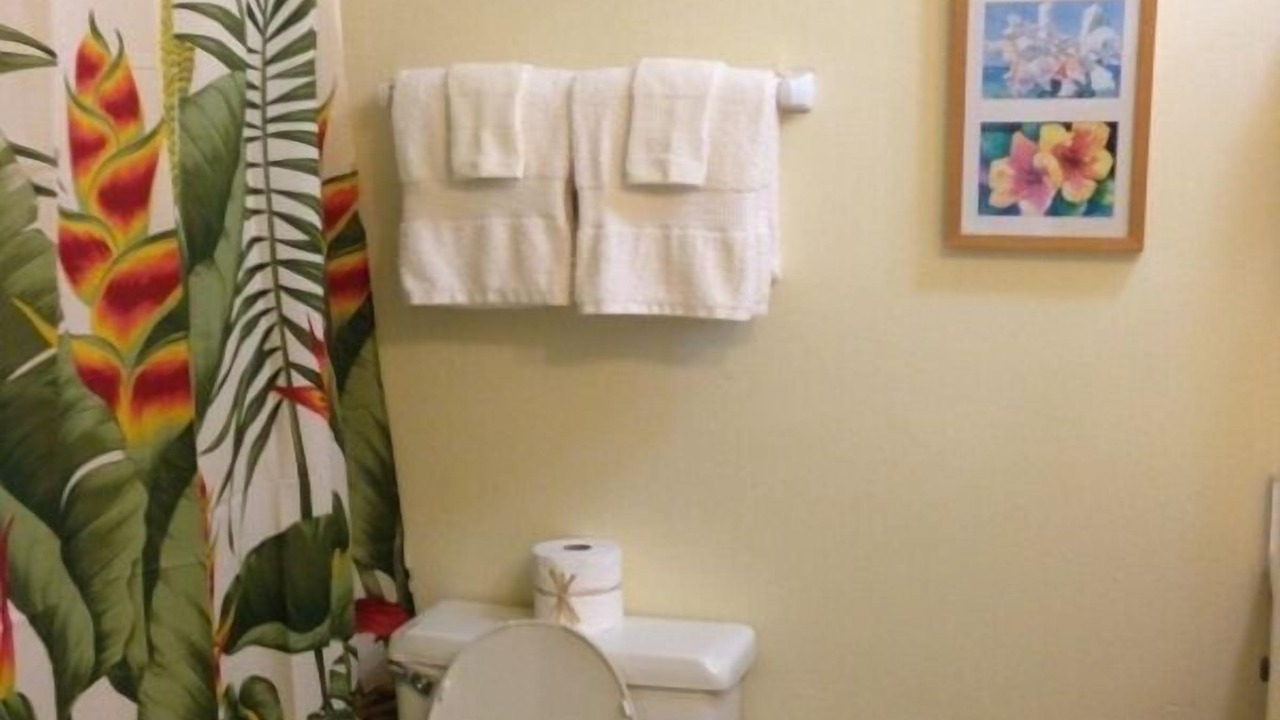 Photo of Bathroom in Nawiliwili