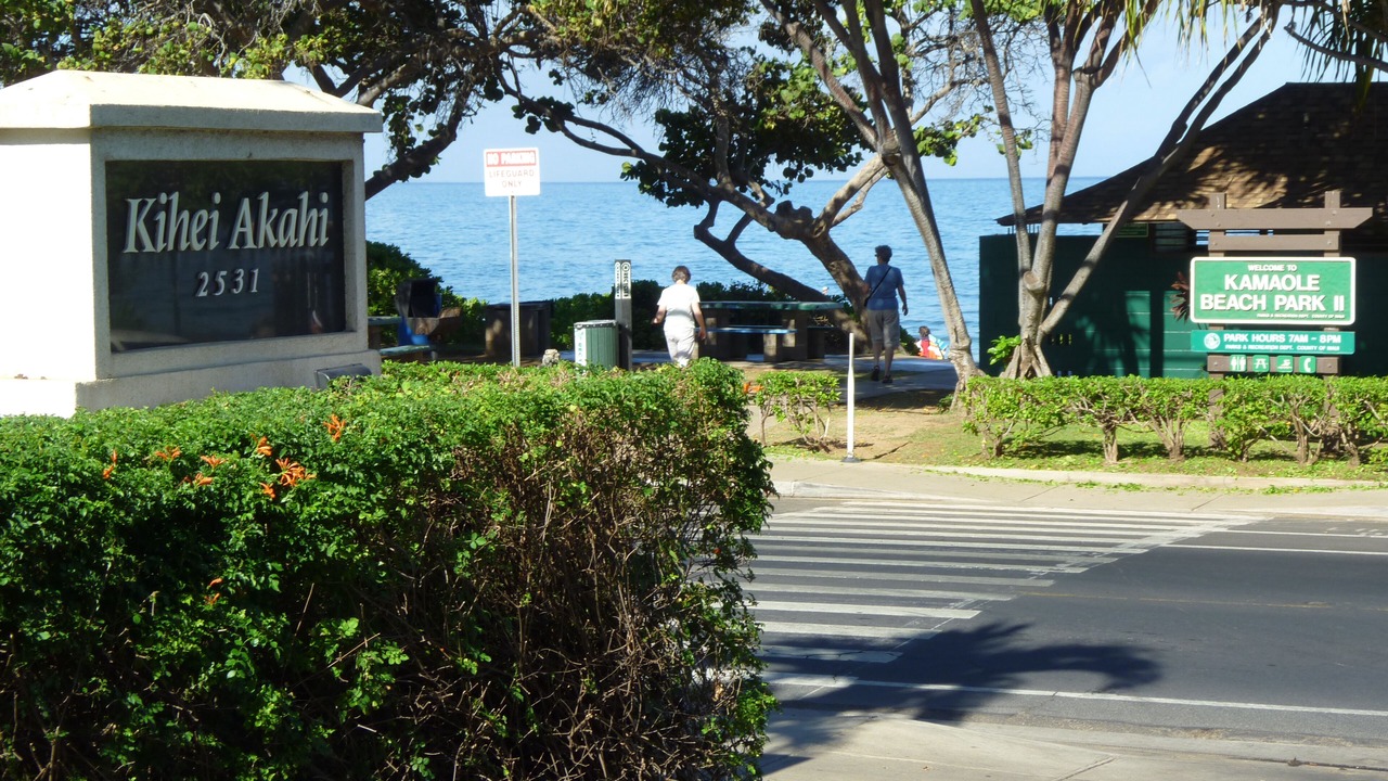 Photo of Others in Kihei