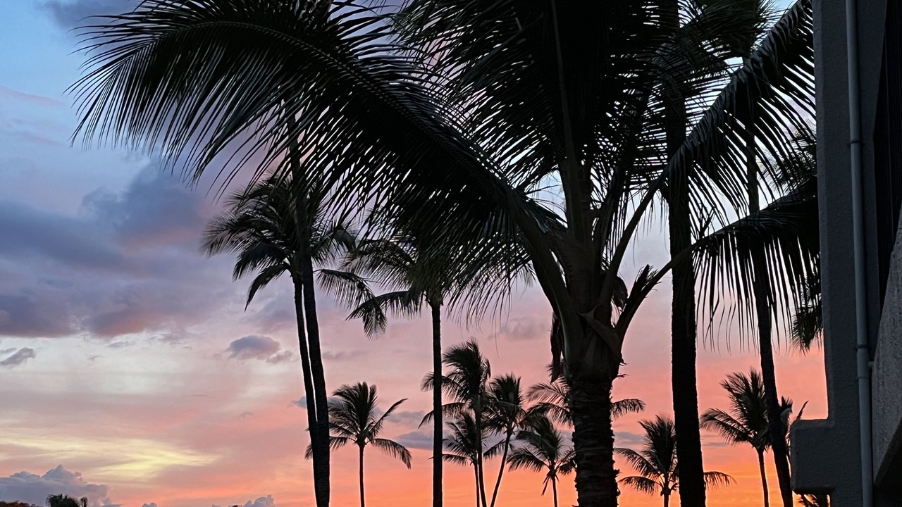 Photo of Outdoor in Kihei
