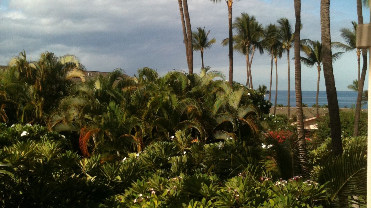 Photo of Others in Kihei