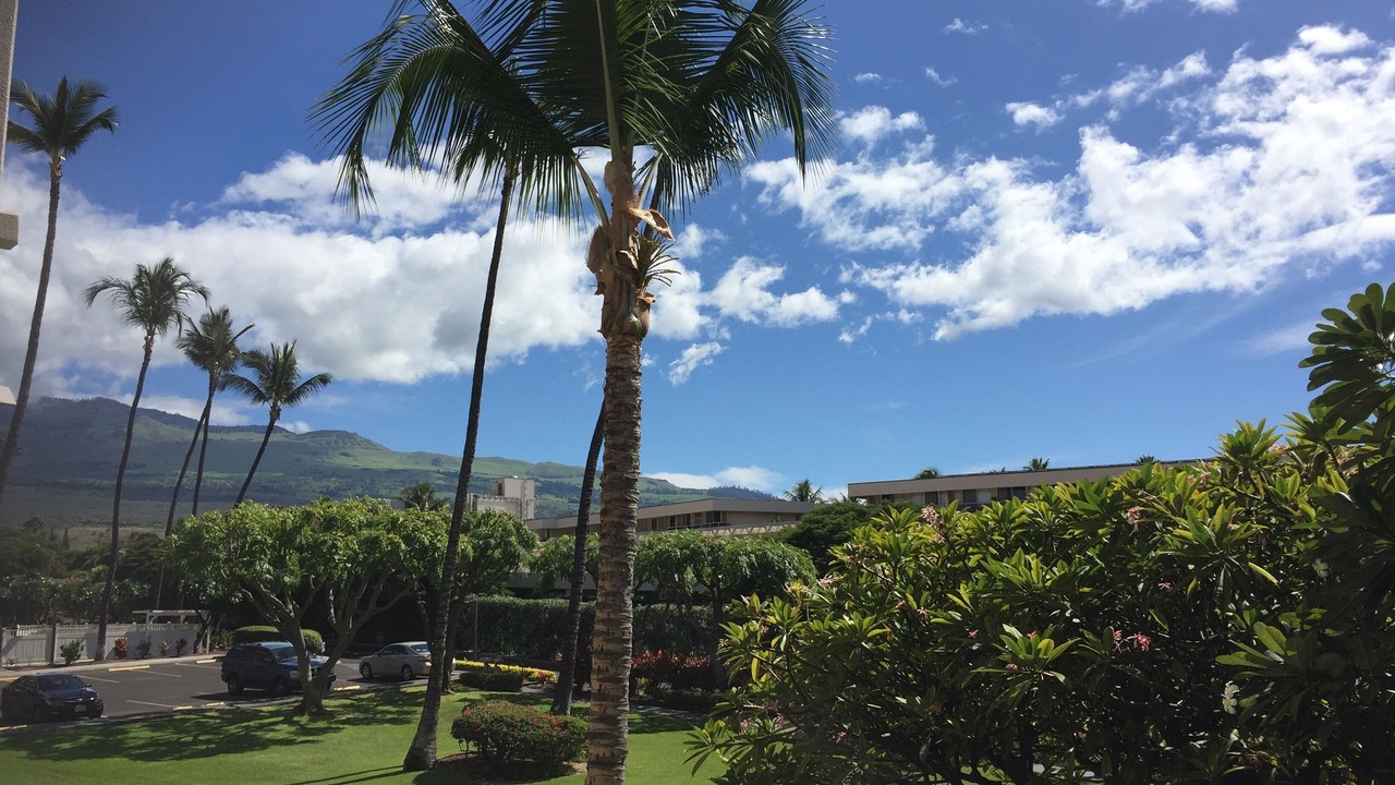 Photo of Outdoor in Kihei