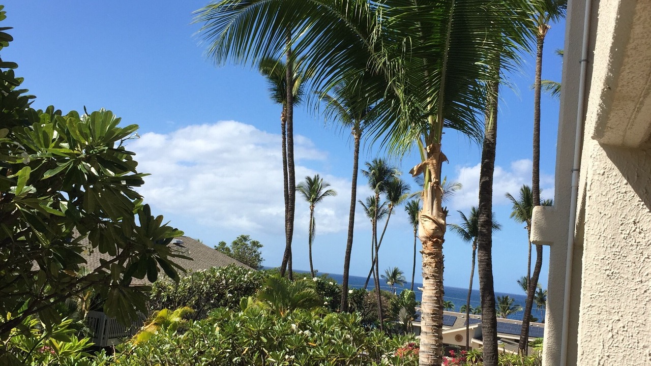Photo of Others in Kihei