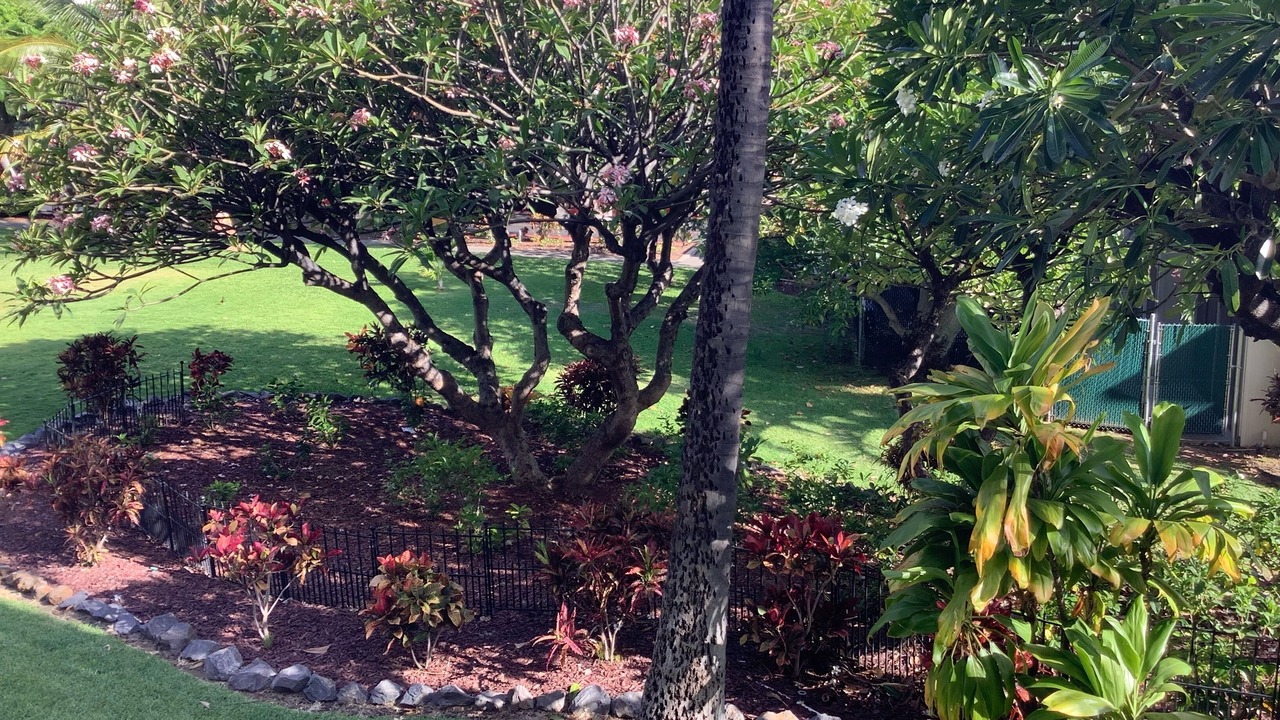 Photo of Outdoor in Kihei