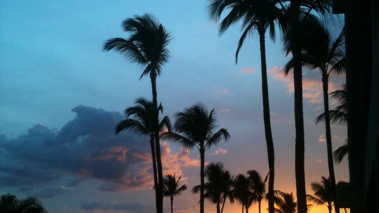 Photo of Others in Kihei