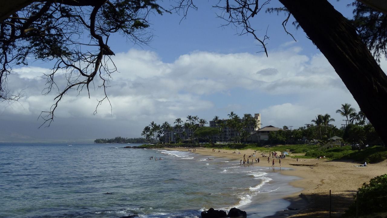 Photo of Others in Kihei