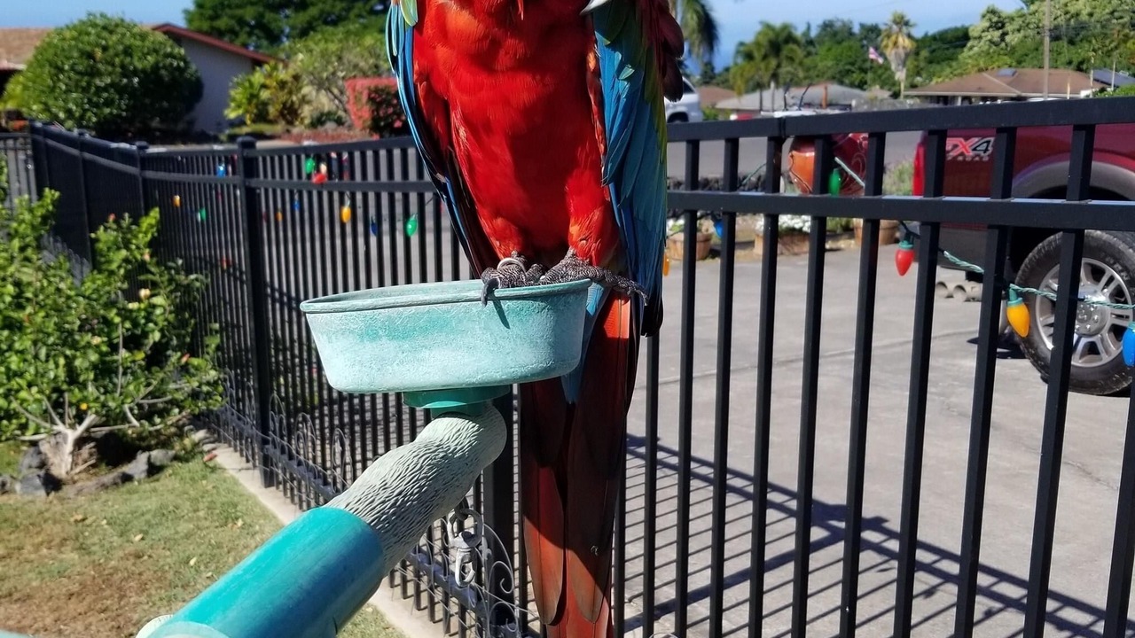 Photo of Outdoor in Kailua-Kona