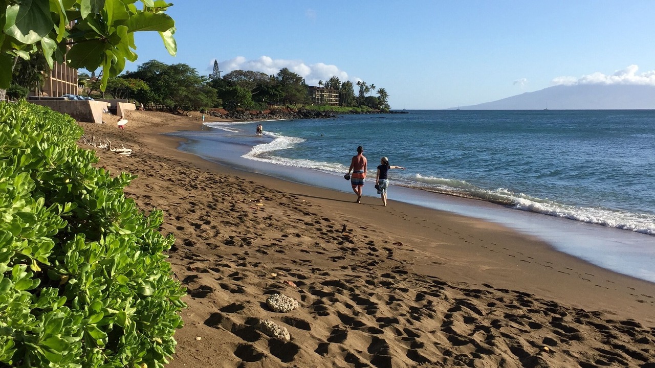 Photo of Others in Kahana
