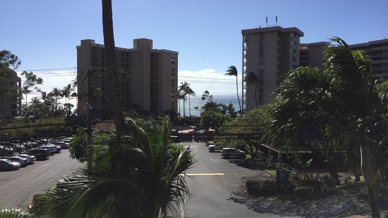 Photo of Others in Kahana