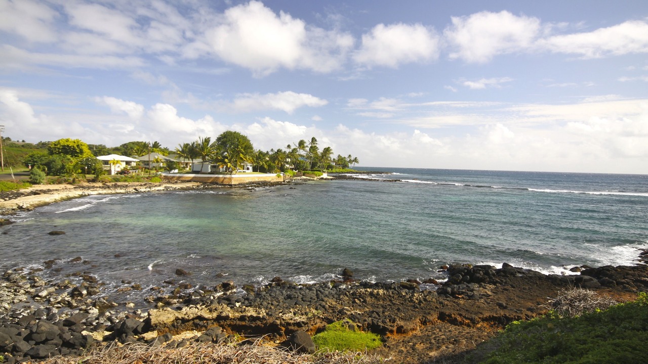 Photo of Others in Poipu