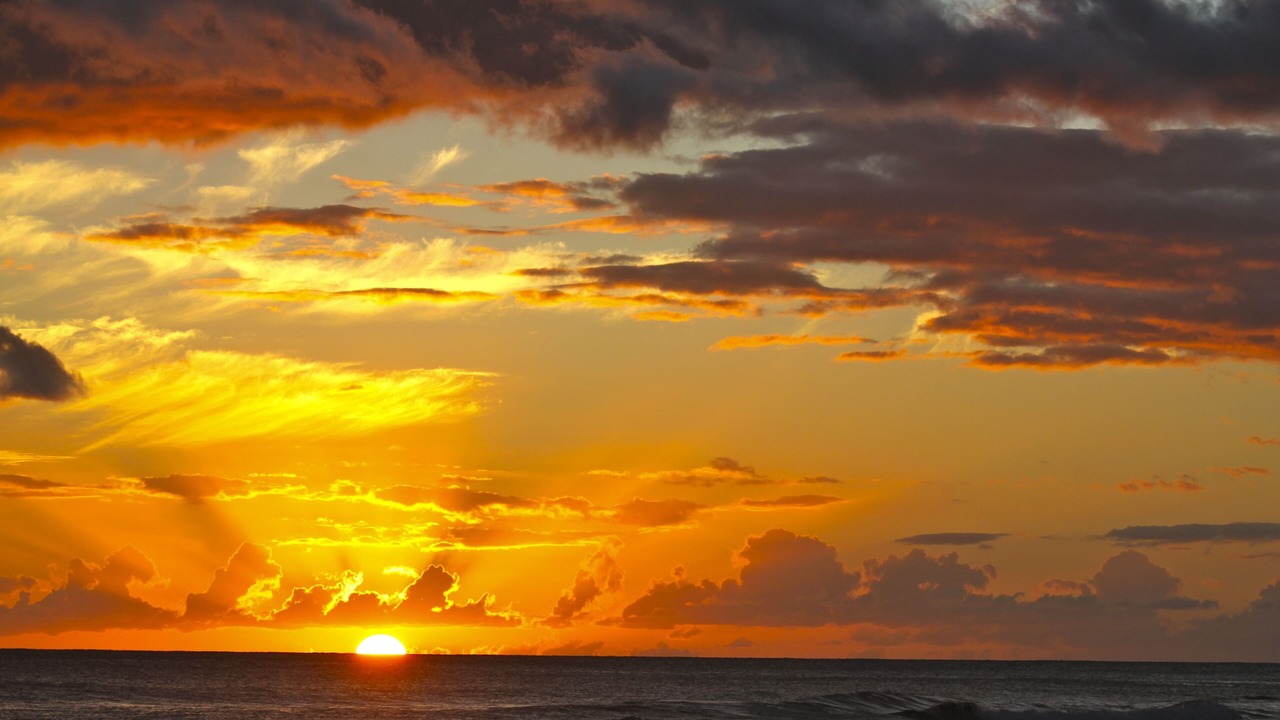 Photo of Others in Poipu