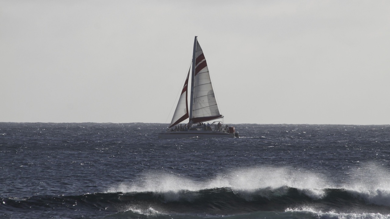 Photo of Others in Poipu