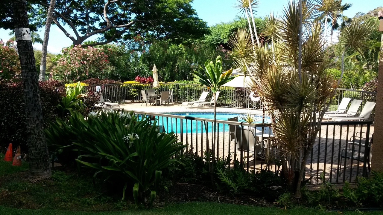 Photo of Outdoor in Kihei