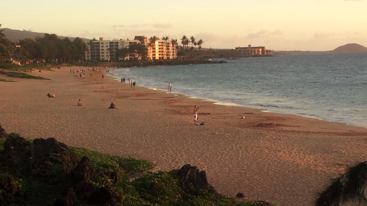 Photo of Others in Kihei
