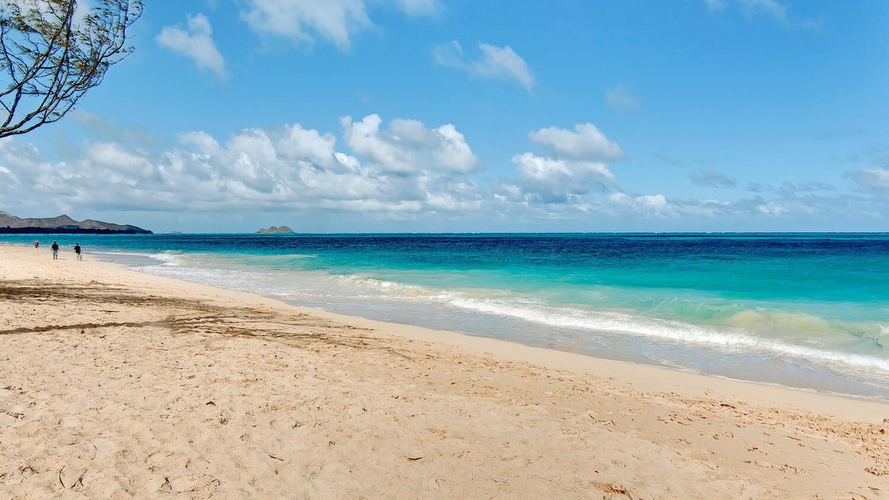 Photo of Others in Waimanalo Beach