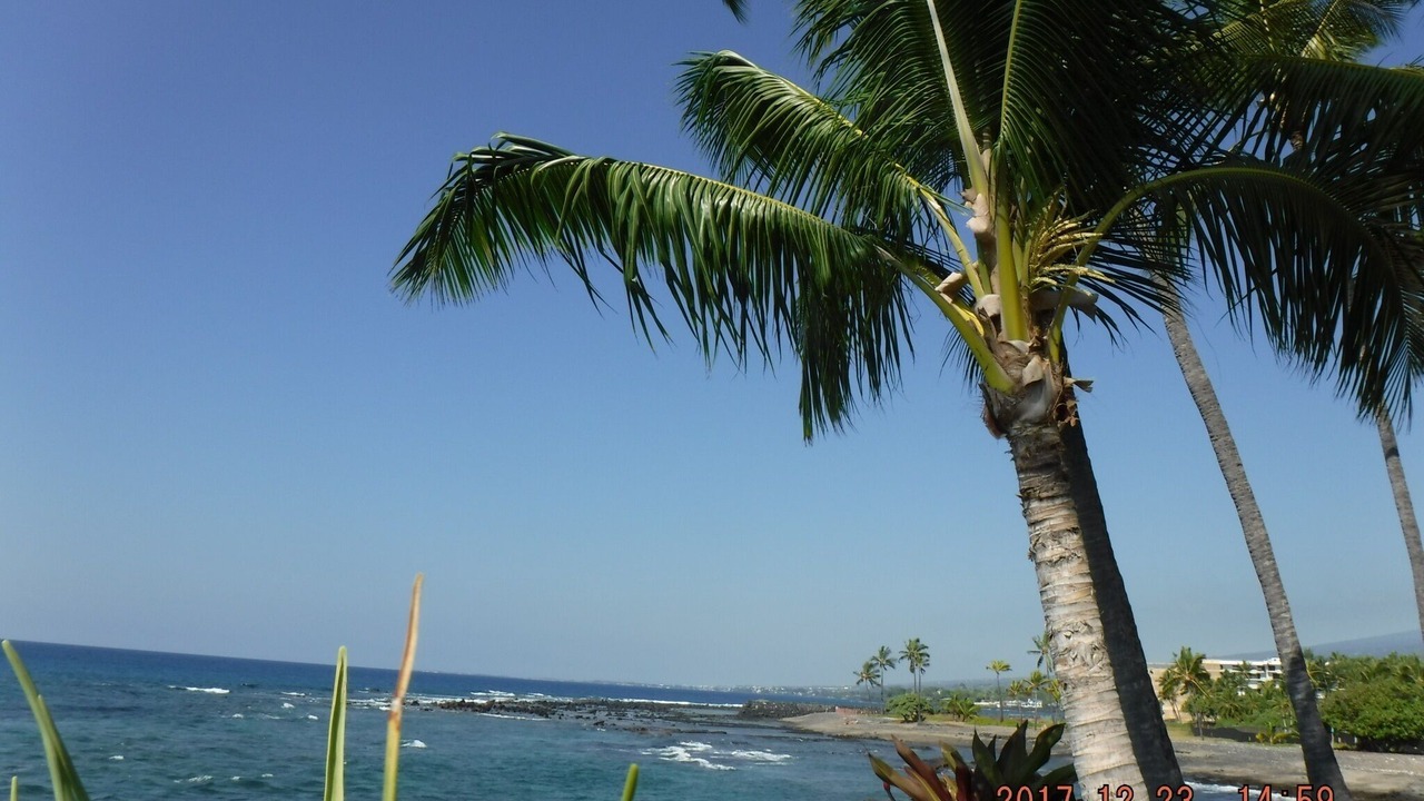 Photo of Others in Kahaluu-Keauhou
