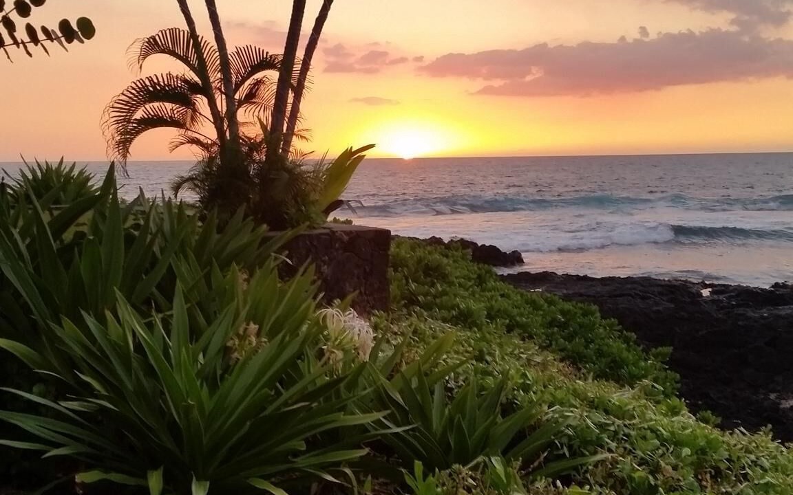 Photo of Others in Kahaluu-Keauhou