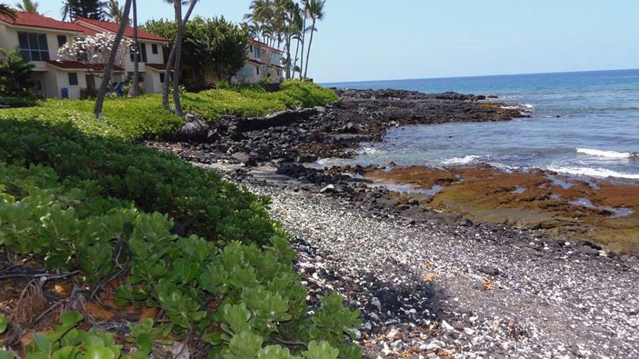 Photo of Others in Kahaluu-Keauhou