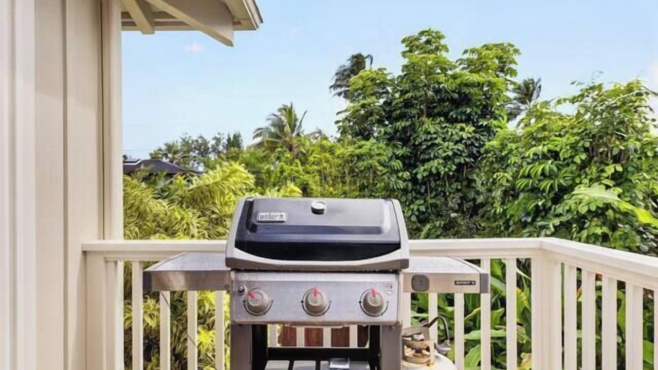 Photo of Outdoor in Hanalei