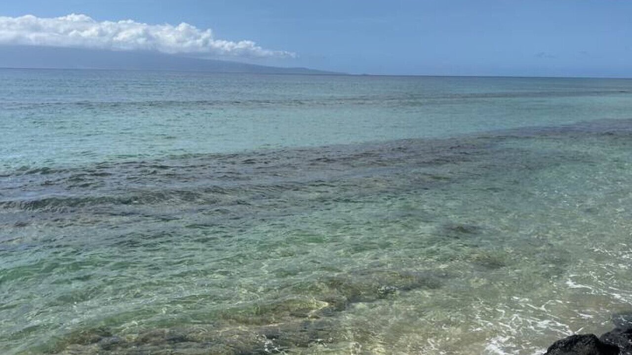 Photo of Others in Honokowai