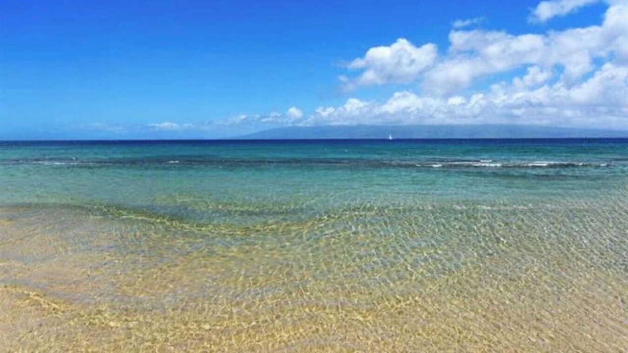 Photo of Others in Honokowai