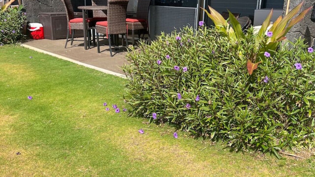 Photo of Outdoor in Honokowai