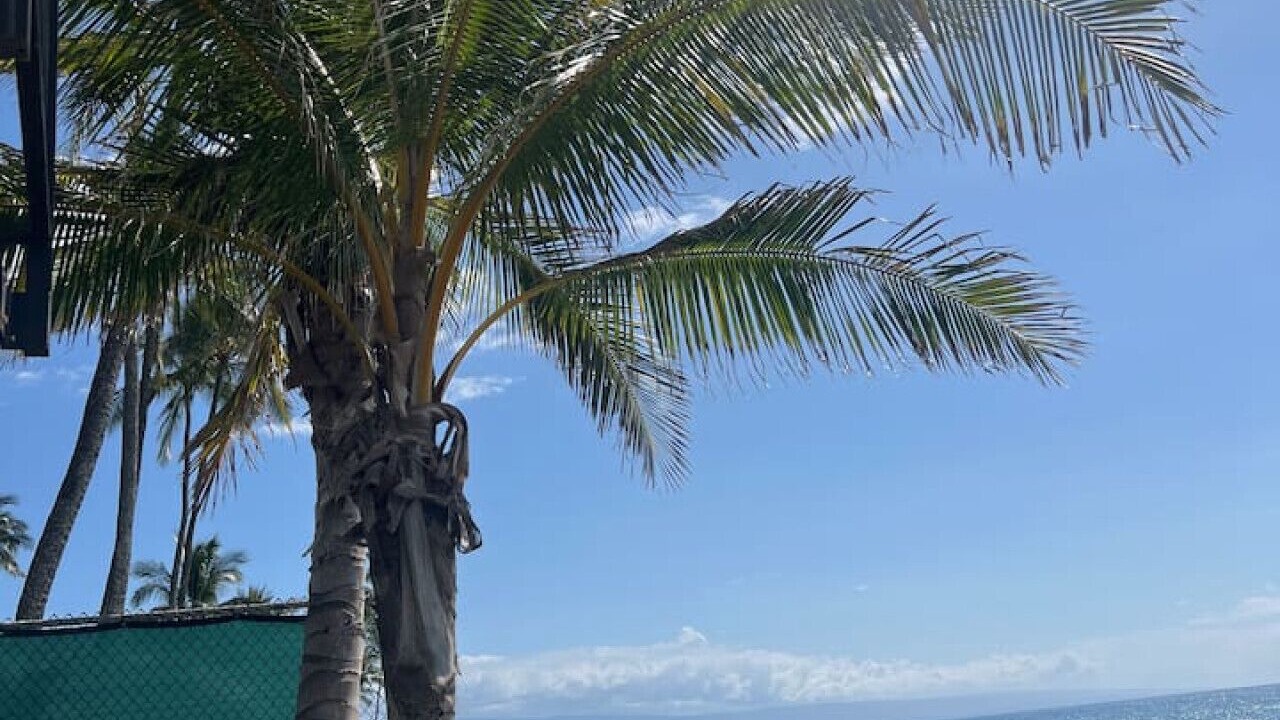 Photo of Outdoor in Honokowai