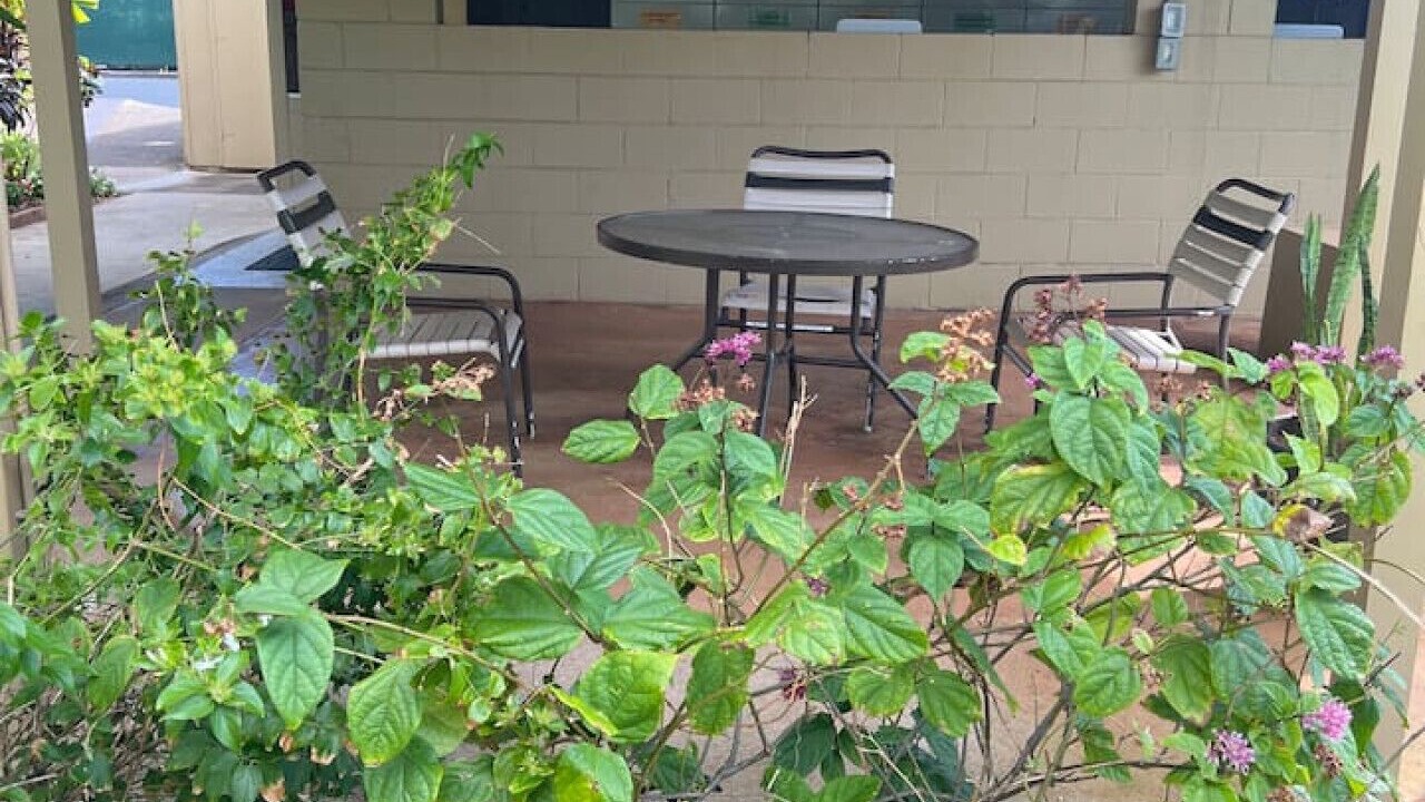 Photo of Outdoor in Honokowai