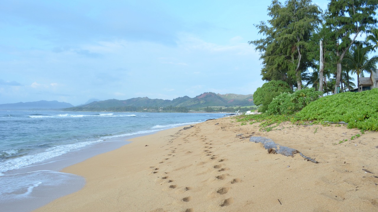 Photo of Others in Wailua