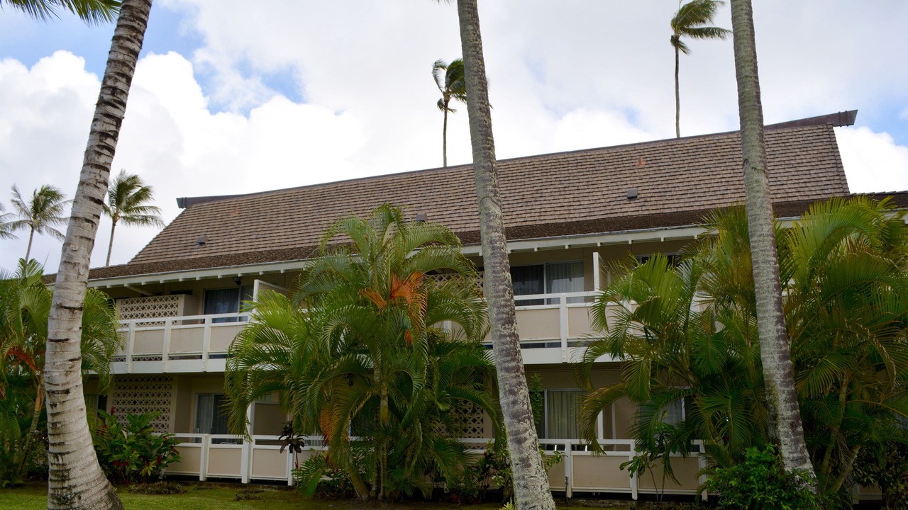 Photo of Outdoor in Wailua