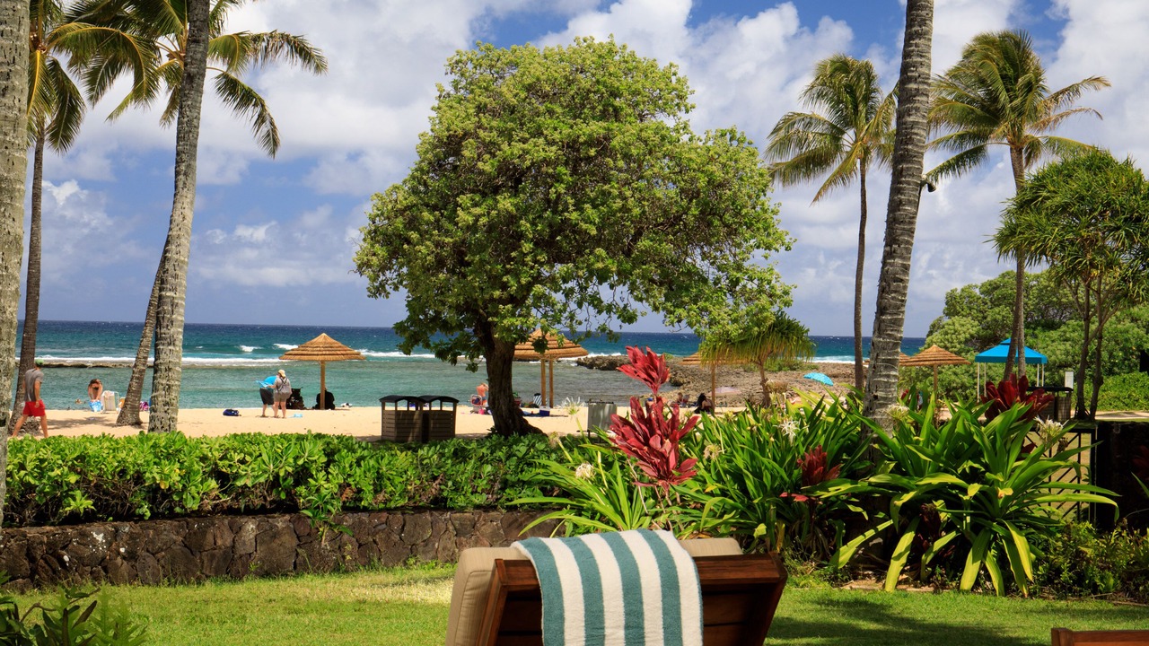 Photo of Others in Kahuku