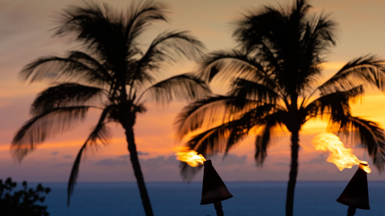 Photo of Outdoor in Kamuela