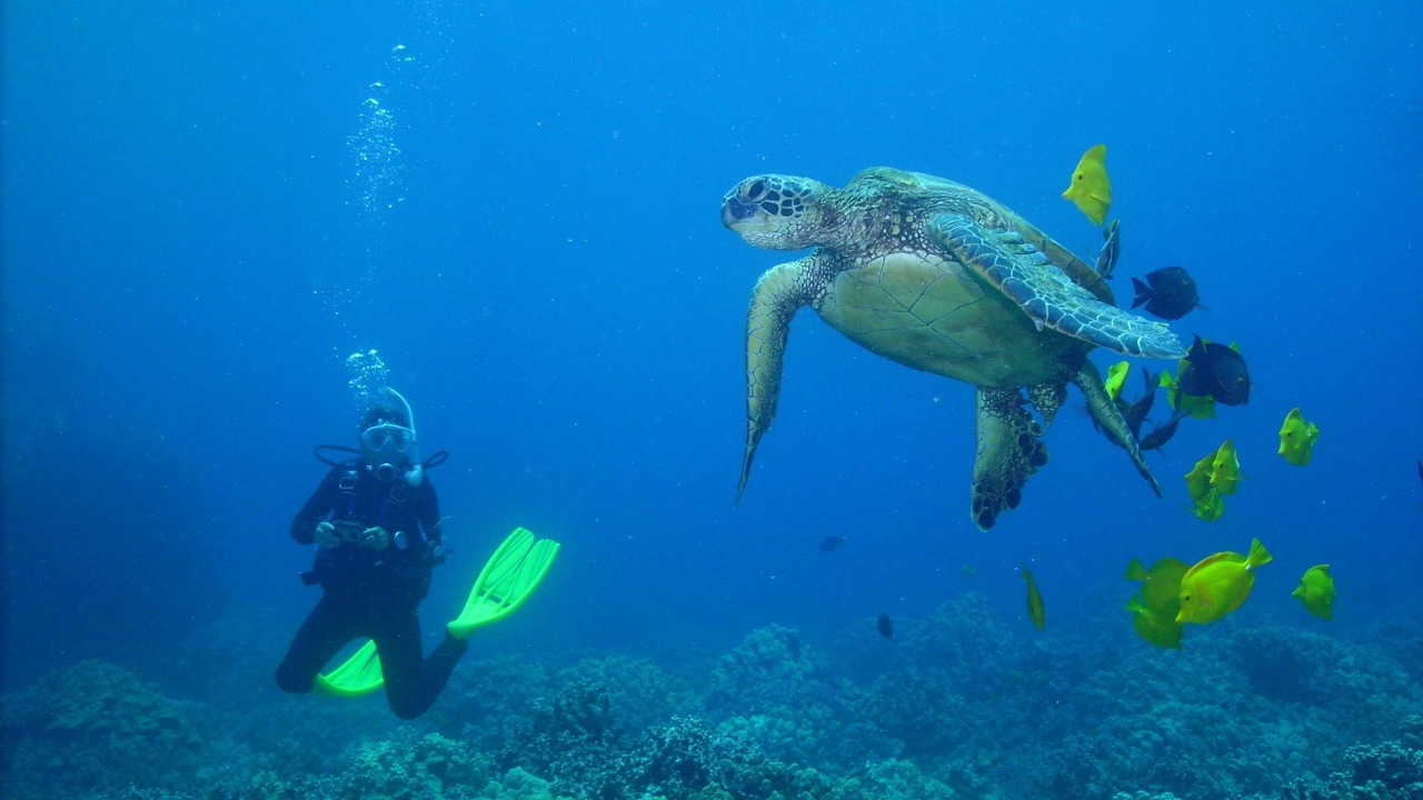 Photo of Others in Waikoloa Village