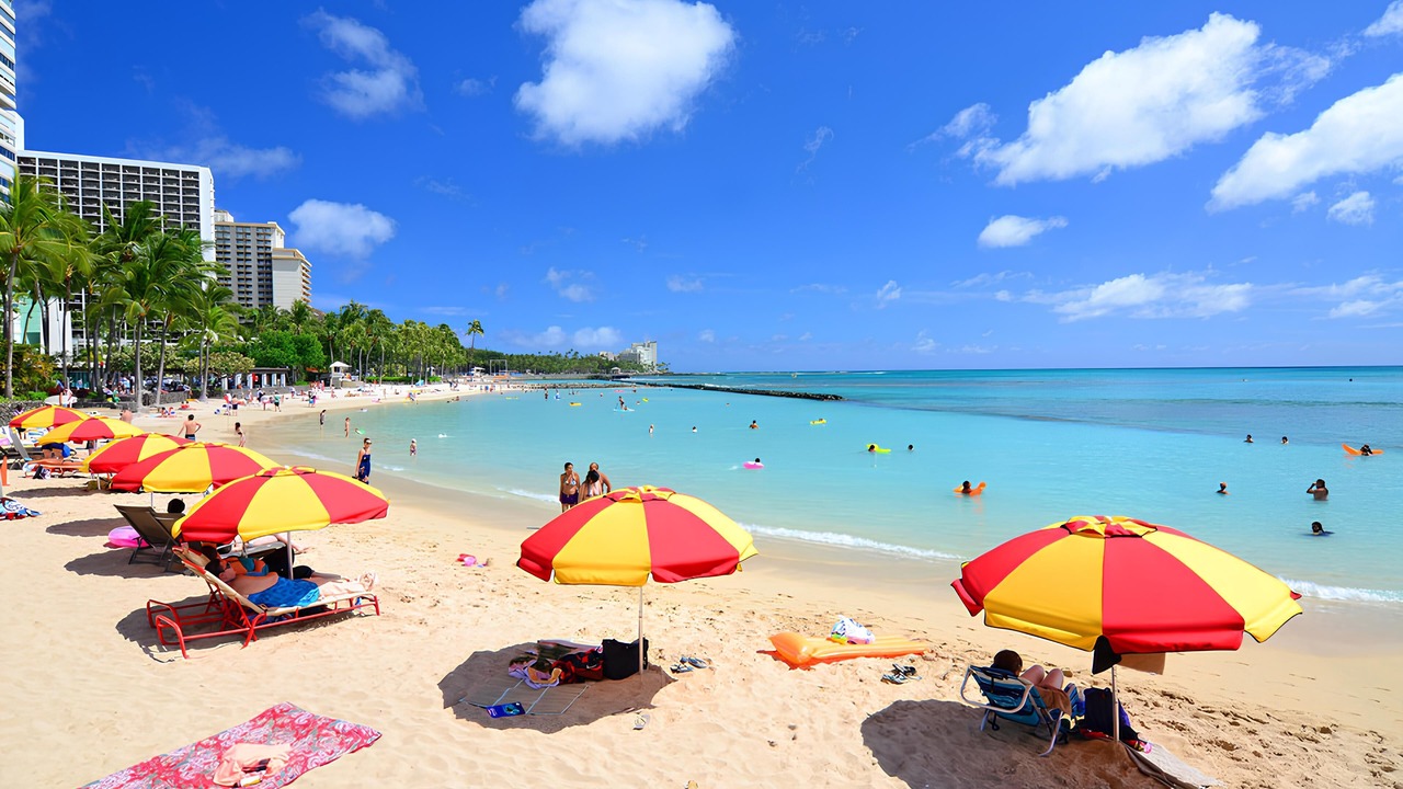 Photo of Others in Waikiki