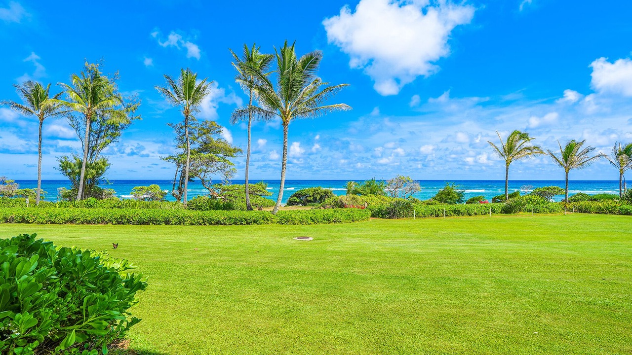 Photo of Others in Lihue