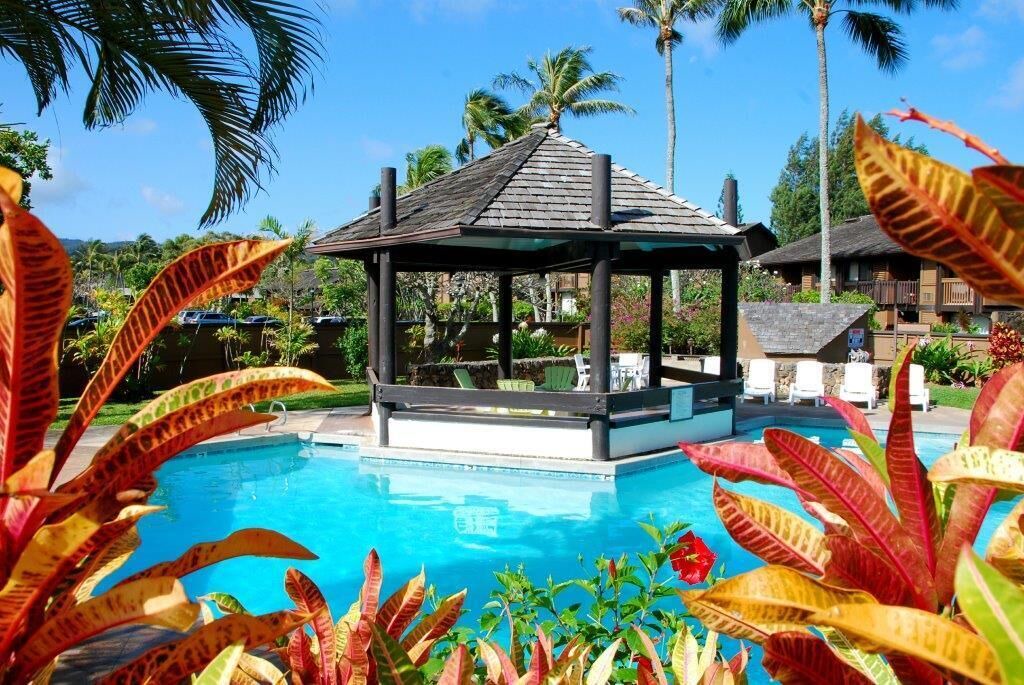 Photo of Outdoor in Kahuku
