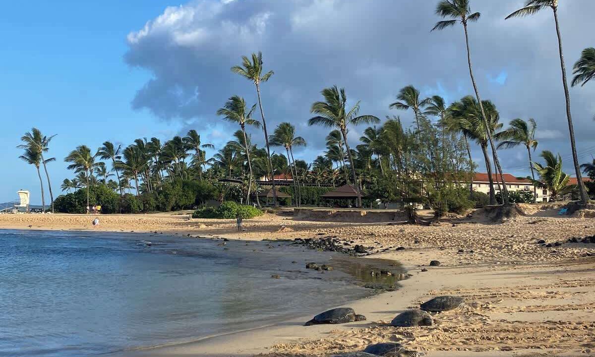 Photo of Others in Poipu