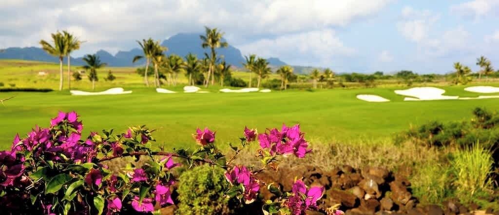 Photo of Others in Poipu