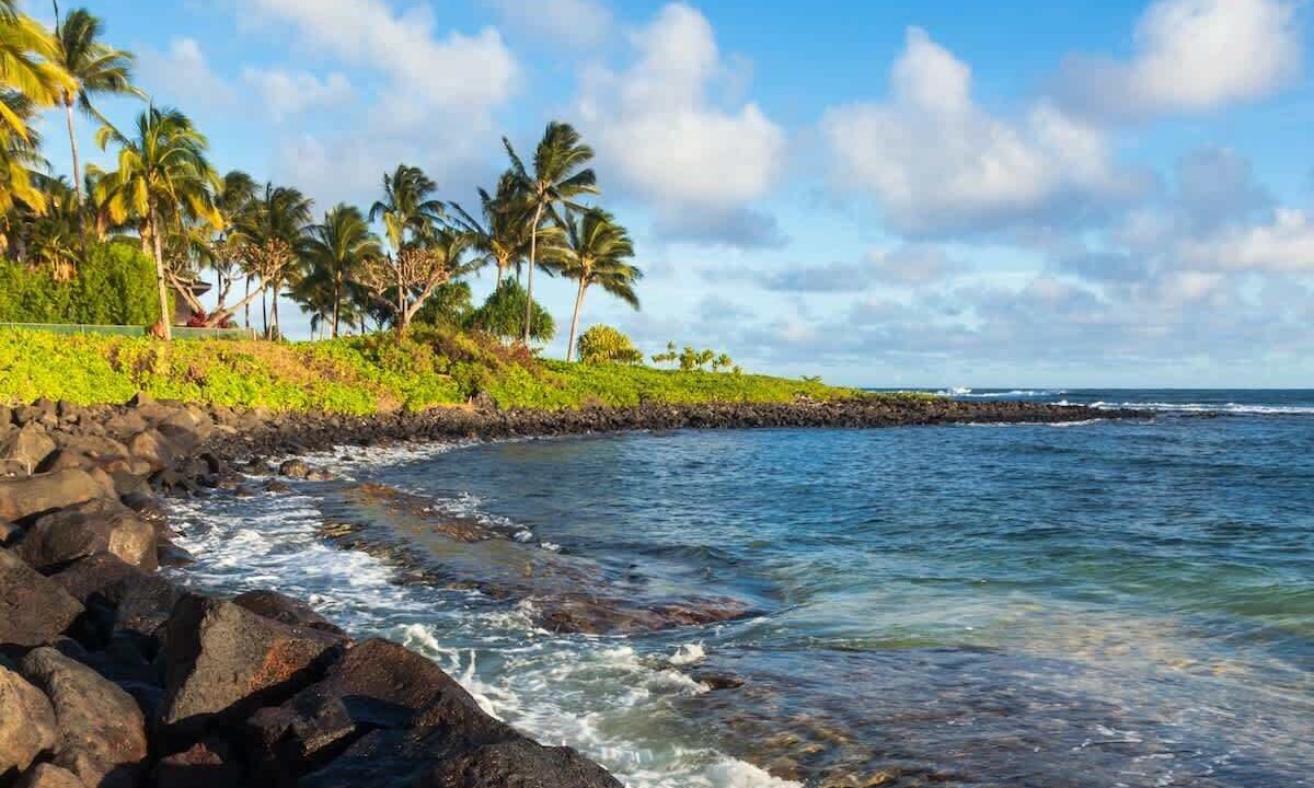 Photo of Others in Poipu