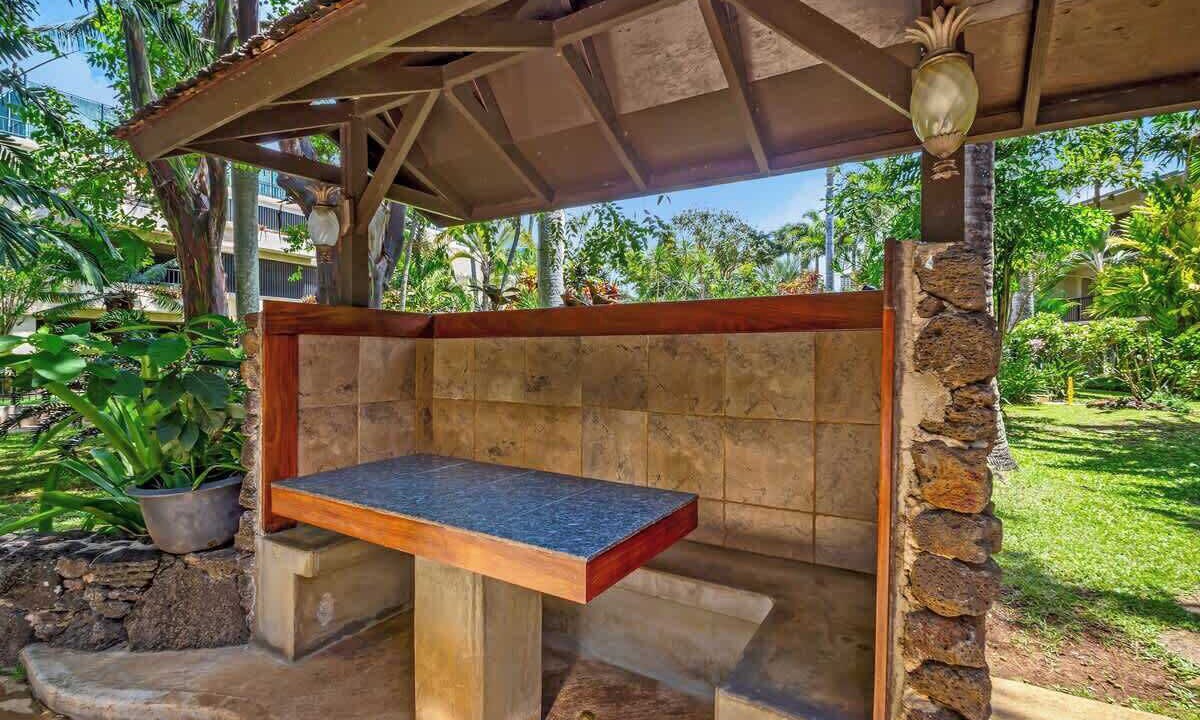 Photo of Outdoor in Poipu