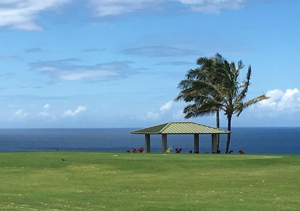 Photo of Others in Princeville