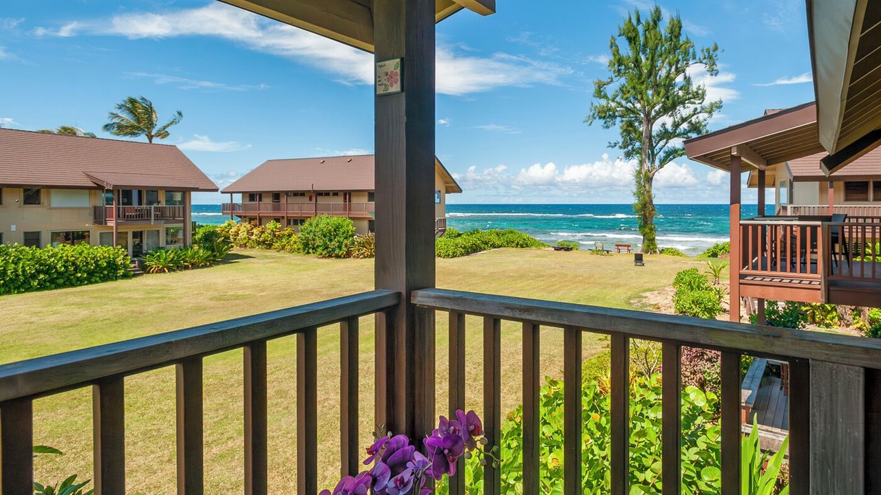 Photo of Others in Wainiha