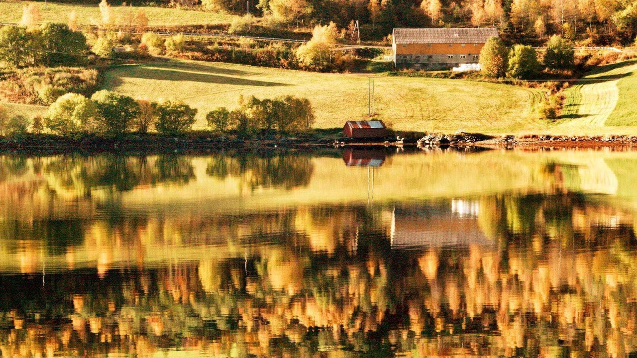 Photo of Others in Halsa Municipality