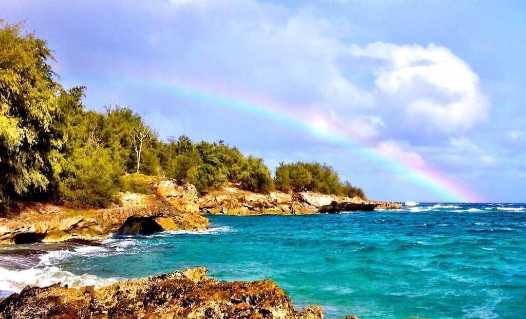 Photo of Others in Princeville