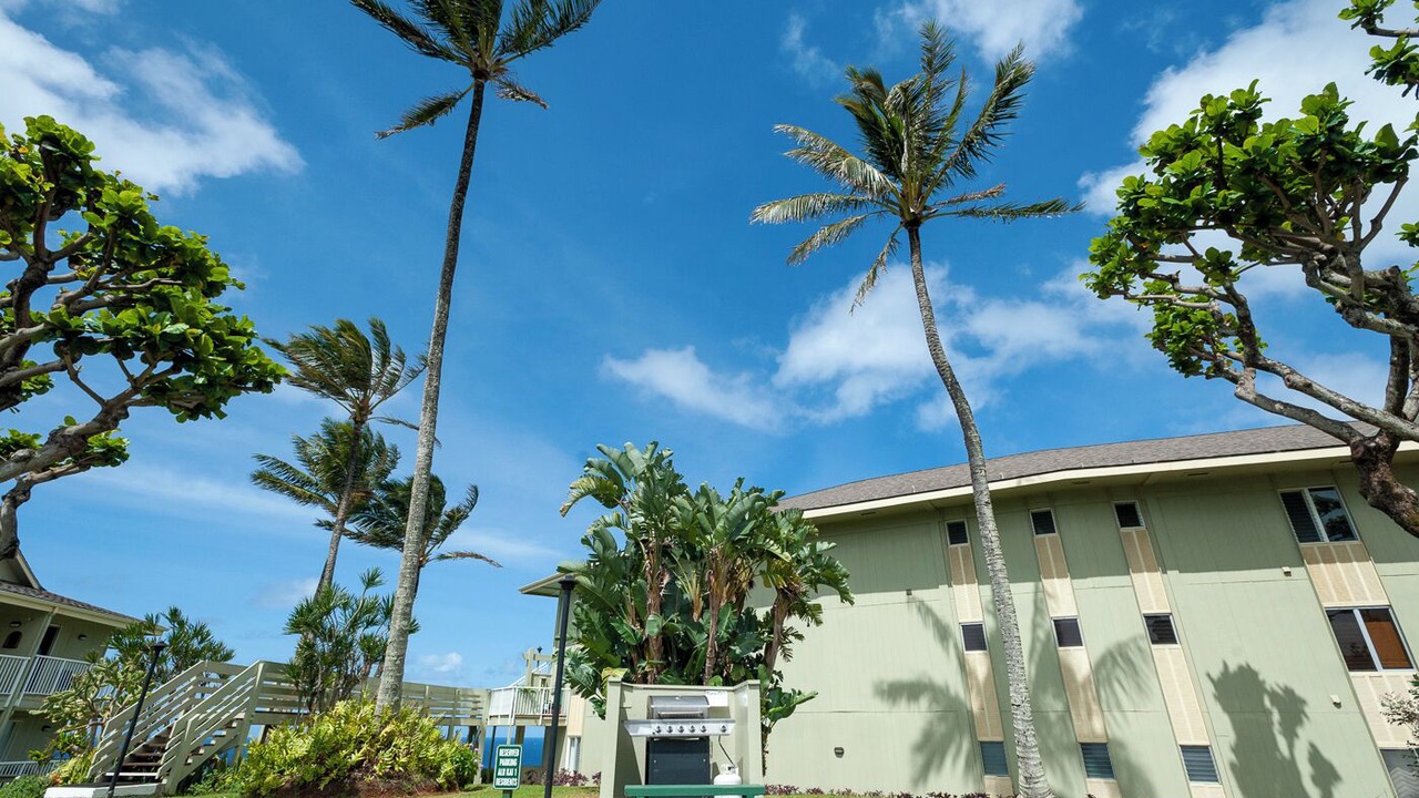 Photo of Others in Princeville