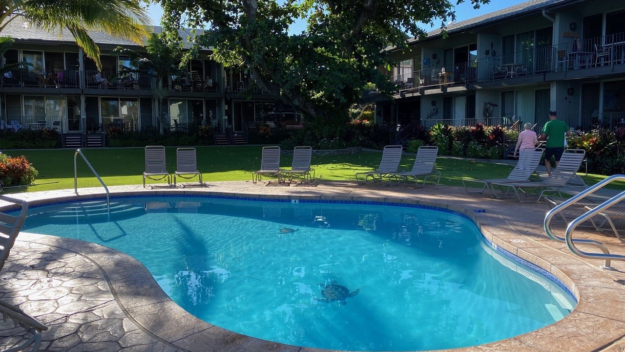 Photo of Outdoor in Napili