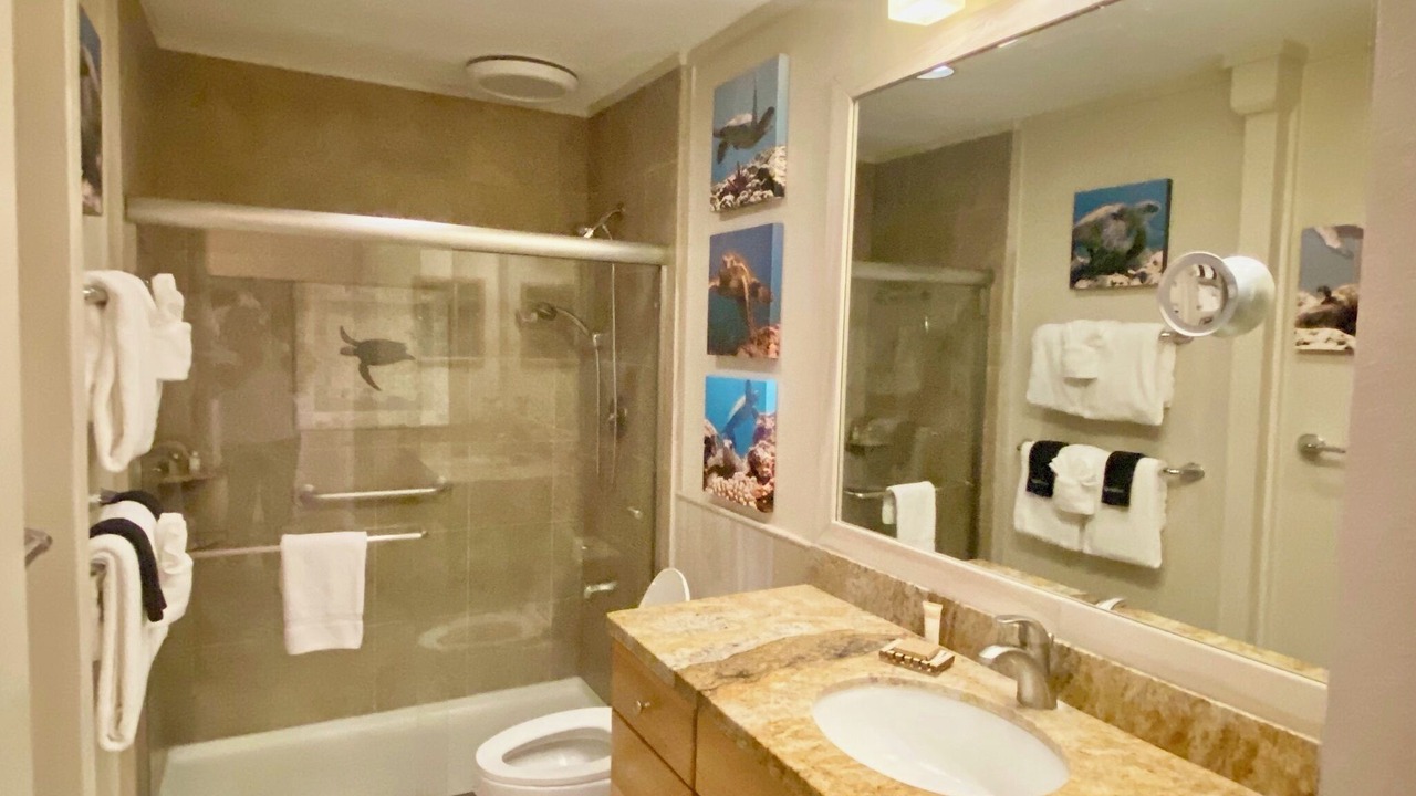 Photo of Bathroom in Napili
