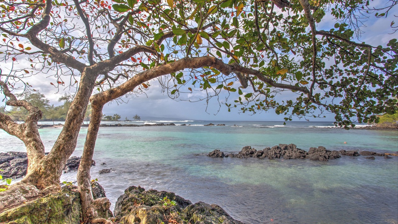 Photo of Others in Hilo