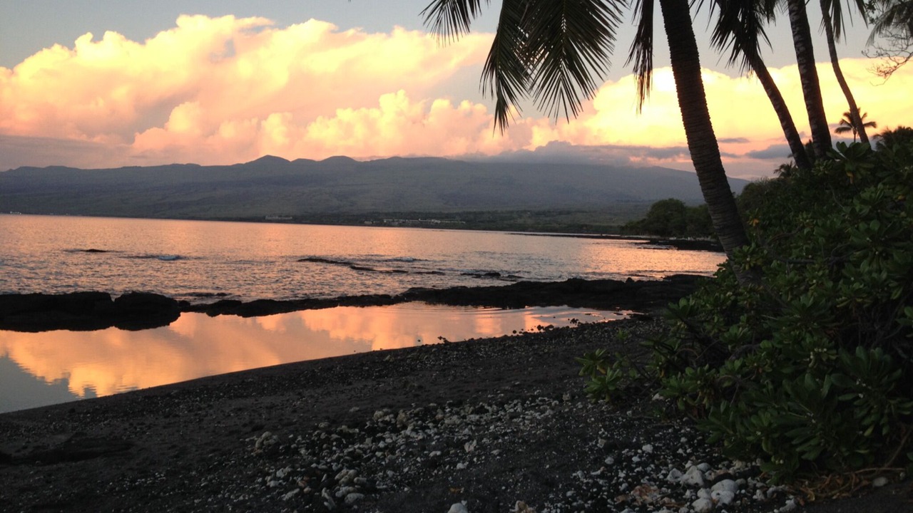 Photo of Outdoor in Kamuela
