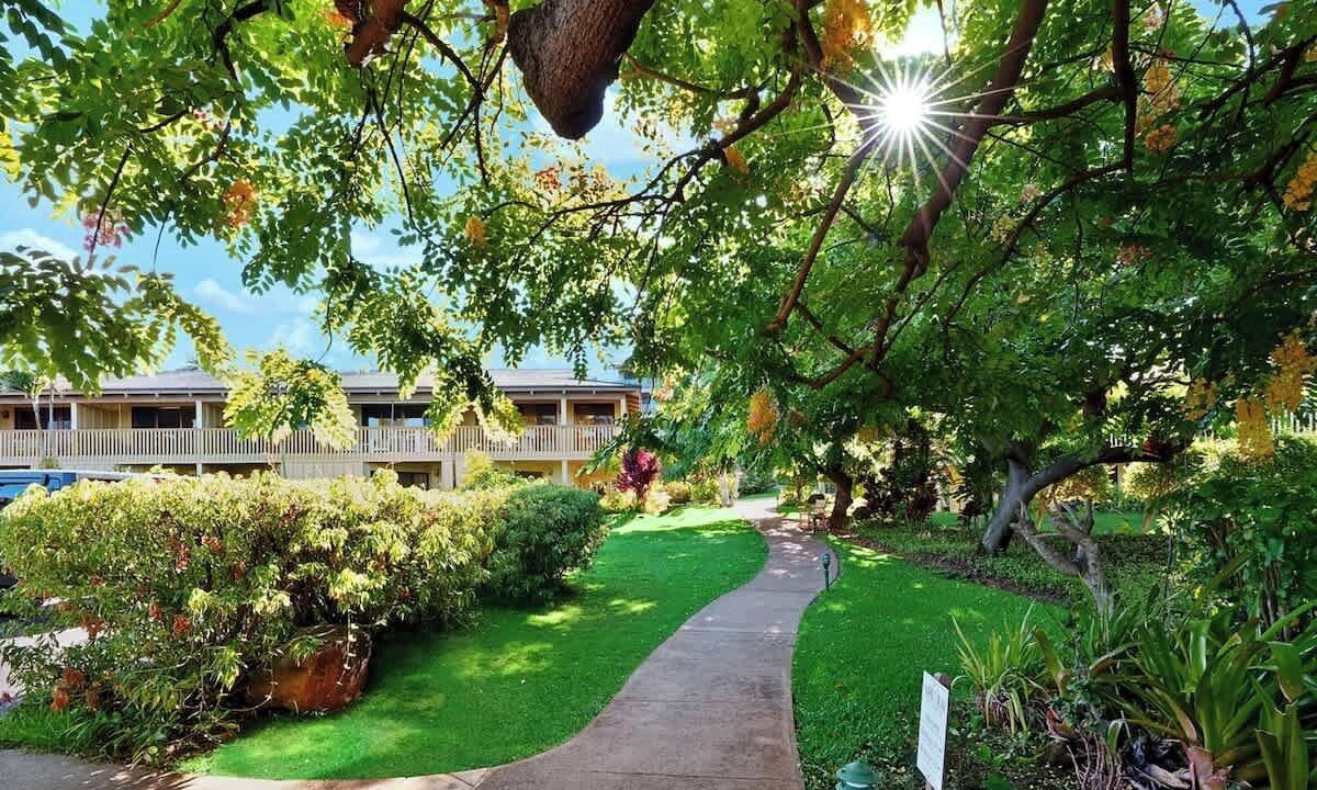Photo of Others in Poipu