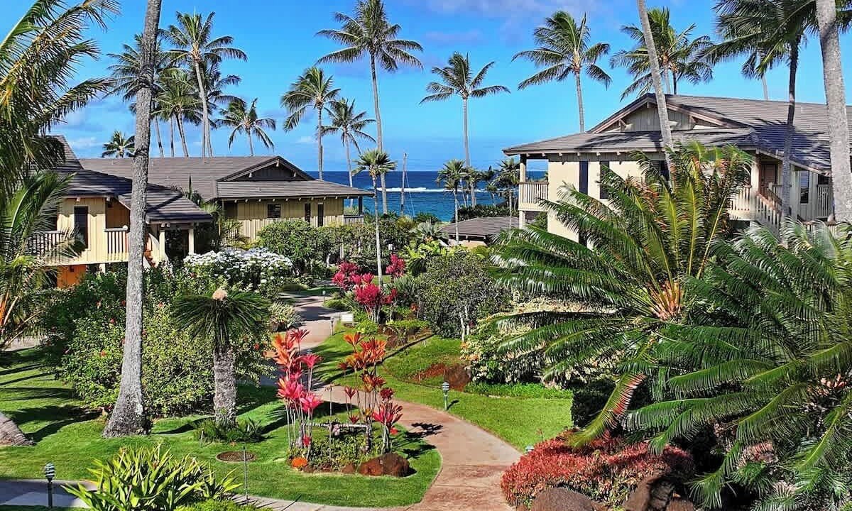 Photo of Others in Poipu